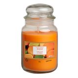 SVEČA V KOZARCU ALADINO LARGE JAR CITRUS