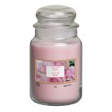 SVEČA V KOZARCU ALADINO LARGE JAR ROSE