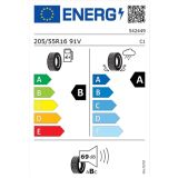 LETNA GUMA GOODYEAR 205/55R16 91V EFFICIENTGRIP PERFORMANCE 2