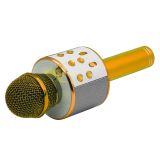 MIKROFON Z ZVOČNIKOM MANTA MIC10 ZLATA