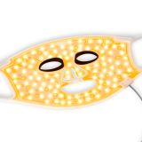 OBRAZNE MASKE IN SAVNE SILK'N LED MASKA ZA OBRAZ