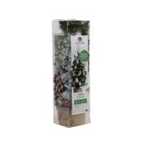 NOVOLETNA JELKA EVERLANDS 75 CM + OKRASKI MINI