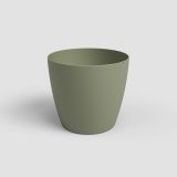 PE NOTRANJI LONEC ARTEVASI SAN REMO 14 CM ZELEN