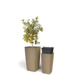 PE NOTRANJI LONEC BLUMAX WOODY AURORA 25X25X46.5 VISOK