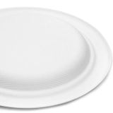 PIKNIK PROGRAM KROŽNIK IZ SLADKORNEGA TRSA 26CM 50/1