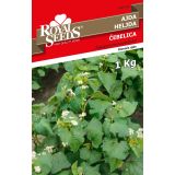 SEME VRTNINE ROYAL SEEDS ROYAL AJDA ČEBELICA 500G ŠK