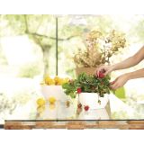 PE NOTRANJI LONEC SAN REMO GLOSSY SKLEDA BELA 23CM