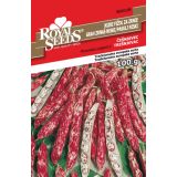 STROČNICA ROYAL SEEDS FIŽOL ČEŠNJEVEC 100G