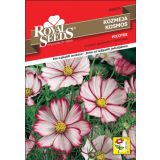 SEME CVETOČE RASTLINE ROYAL SEEDS KOZMEJA MEŠ. 34