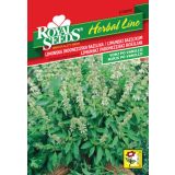 BAZILIKA ROYAL SEEDS LIMONSKA HL 40