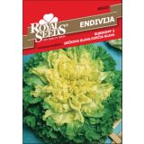 LISTNA ZELENJAVA ROYAL SEEDS ENDIVIJA DEČJA GLAVA 220