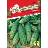 PLODOVKA ROYAL SEEDS KUMARE LEVINA F1 147