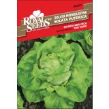 LISTNA ZELENJAVA ROYAL SEEDS SOLATA MAJSKA KRALJICA 87