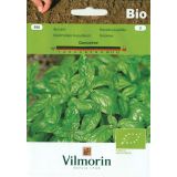 BAZILIKA VILMORIN BIO NAVADNA GENOVESE