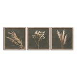 SLIKA STYLER PAMPAS TROJNA Z OKVIRJEM 30X30 FR391