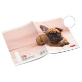 ŠOLSKI ZVEZEK TARGET A4 BREZČRTEN ANIMAL BABY 26062