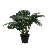 UMETNA LONČNICA MICA MONSTERA V ZELENEM LONCU H60XD80CM