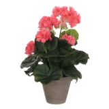 UMETNA LONČNICA MICA PELARGONIJA MARELIČNA V S H34XD20CM