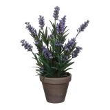 SIVKA MODRA V SIVEM STAN LONCU D11,5CM - H33XD20CM