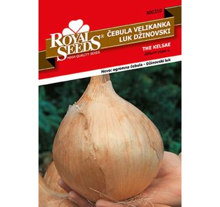 ČEBULNICA ROYAL SEEDS ČEBULA VELIKANKA 310