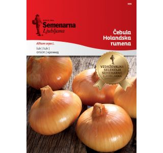 ČEBULNICA SEMENARNA ČEBULA HOLANDSKA RUMENA 595