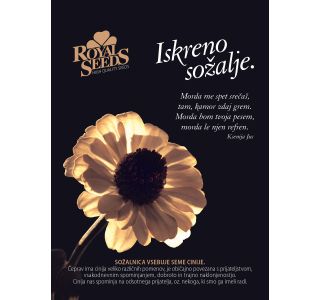 CINIJA ROYAL SEEDS SOŽALNICA