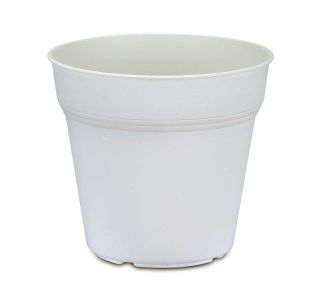 EKO 24 CM BEL