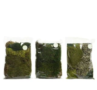 DEKORACIJA DECORIS NARAVNI MAH 100 G SORT