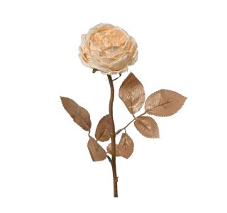 ROŽA 57 CM BEŽ BARVE