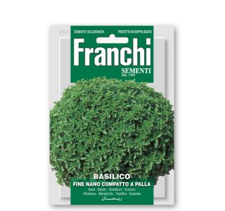 BAZILIKA FRANCHI SEMENTI DROBNOLISTNA