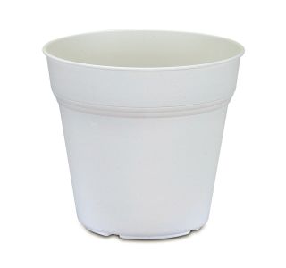 CVETLIČNO SADILNI LONEC 13 CM EKO BEL