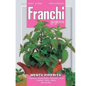 FRANCHI SEMENTIA BAZILIKA