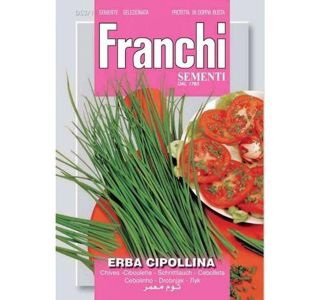 FRANCHI SEMENTIA TIMIJAN