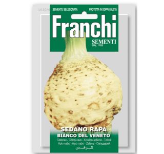 GOMOLJNA ZELENA BIANCO DEL VENETO