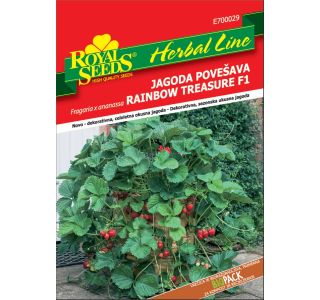 SEME VRTNINE ROYAL SEEDS JAGODA RAINBOW HL 29