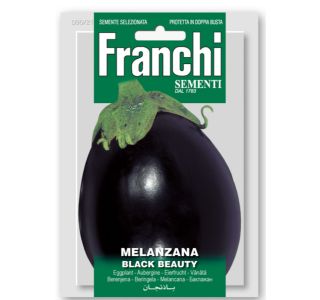 JAJČEVEC BLACK BEAUTY