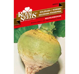 KOLERABA RUMENA WILHELMSBURGER 37