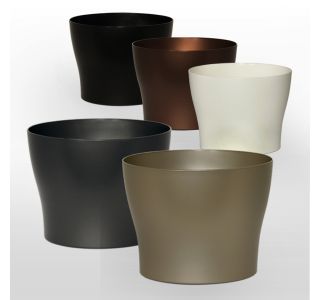 PE NOTRANJI LONEC KRIZANTEMA 23 CM