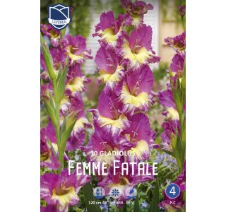 L GLADIOLA FEMME FATALE