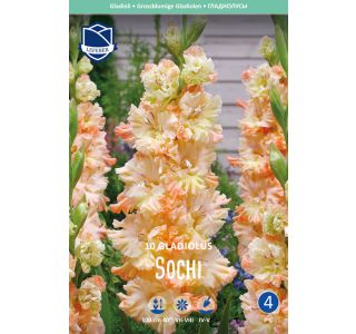 L GLADIOLA SOCHI