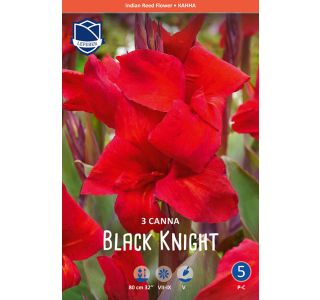 L KANA BLACK NIGHT