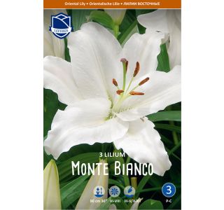 L LILIJA MONTE BIANCO