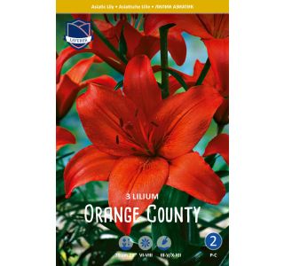 L LILIJA ORANGE COUNTY