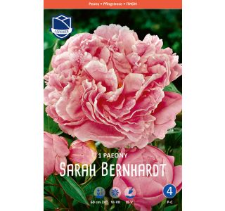 L POTONKA SARAH BERNHARDT