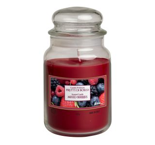 SVEČA V KOZARCU ALADINO LARGE JAR MIXED BERRIES