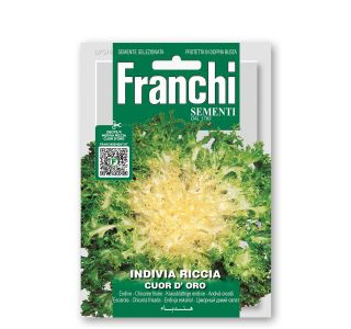 LISTNA ZELENJAVA FRANCHI SEMENTI ENDIVIJA CUOR D'ORO.