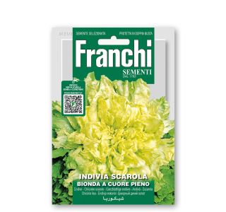 LISTNA ZELENJAVA FRANCHI SEMENTI ENDIVIJA ESKARIOL RUMENA
