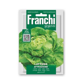 LISTNA ZELENJAVA FRANCHI SEMENTI SOLATA ATTRAYIONE