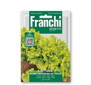 LISTNA ZELENJAVA FRANCHI SEMENTI SOLATA BIONDA RICCIOLIN