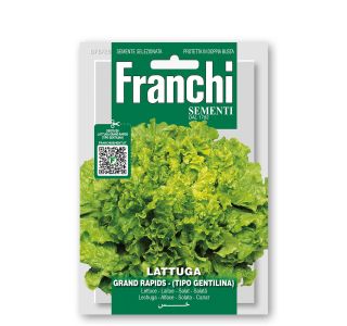 LISTNA ZELENJAVA FRANCHI SEMENTI SOLATA GENTILINA